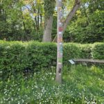 Kleewiese im Bienengarten an der Bienen-InfoWabe