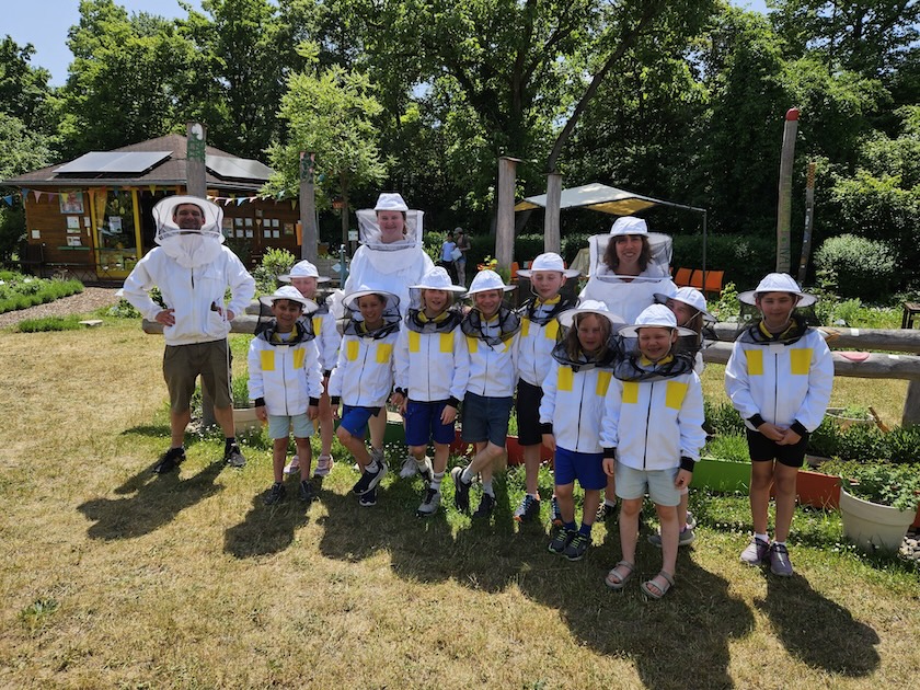 Wiesenhort Bamberg Bug, Klassen 1-4 zum Schulbienen-Unterricht / Schulbienenführung in der Bienen-InfoWabe, Bienen-leben-in-Bamberg.de