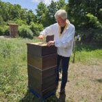 Wiesenhort Bamberg Bug, Klassen 1-4 zum Schulbienen-Unterricht / Schulbienenführung in der Bienen-InfoWabe, Bienen-leben-in-Bamberg.de