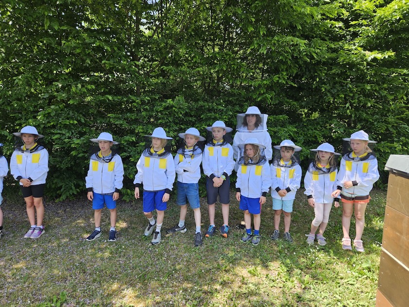 Wiesenhort Bamberg Bug, Klassen 1-4 zum Schulbienen-Unterricht / Schulbienenführung in der Bienen-InfoWabe, Bienen-leben-in-Bamberg.de