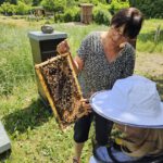 Wiesenhort Bamberg Bug, Klassen 1-4 zum Schulbienen-Unterricht / Schulbienenführung in der Bienen-InfoWabe, Bienen-leben-in-Bamberg.de