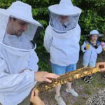 Wiesenhort Bamberg Bug, Klassen 1-4 zum Schulbienen-Unterricht / Schulbienenführung in der Bienen-InfoWabe, Bienen-leben-in-Bamberg.de