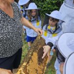 Wiesenhort Bamberg Bug, Klassen 1-4 zum Schulbienen-Unterricht / Schulbienenführung in der Bienen-InfoWabe, Bienen-leben-in-Bamberg.de