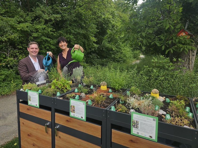 Einweihung der Gartenboxen mit Pflanzdächern im Bamberger Bienengarten durch Bürgermeister Jonas Glüsenkamp am29.06.2026