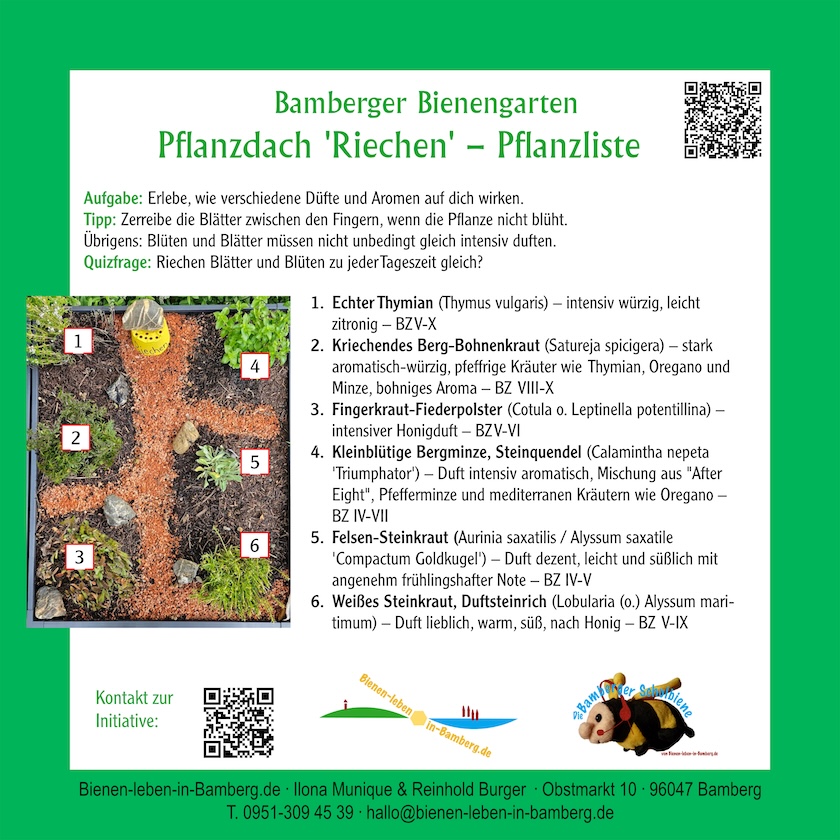 Infotafel zum Pflanzdach "Riechen" – Pflanzliste an den Gartenboxen der Bienen-InfoWabe