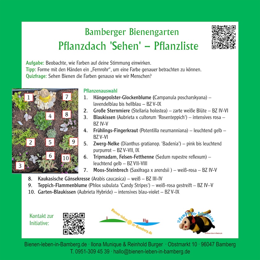 Infotafel zum Pflanzdach "Sehen" – Pflanzliste an den Gartenboxen der Bienen-InfoWabe
