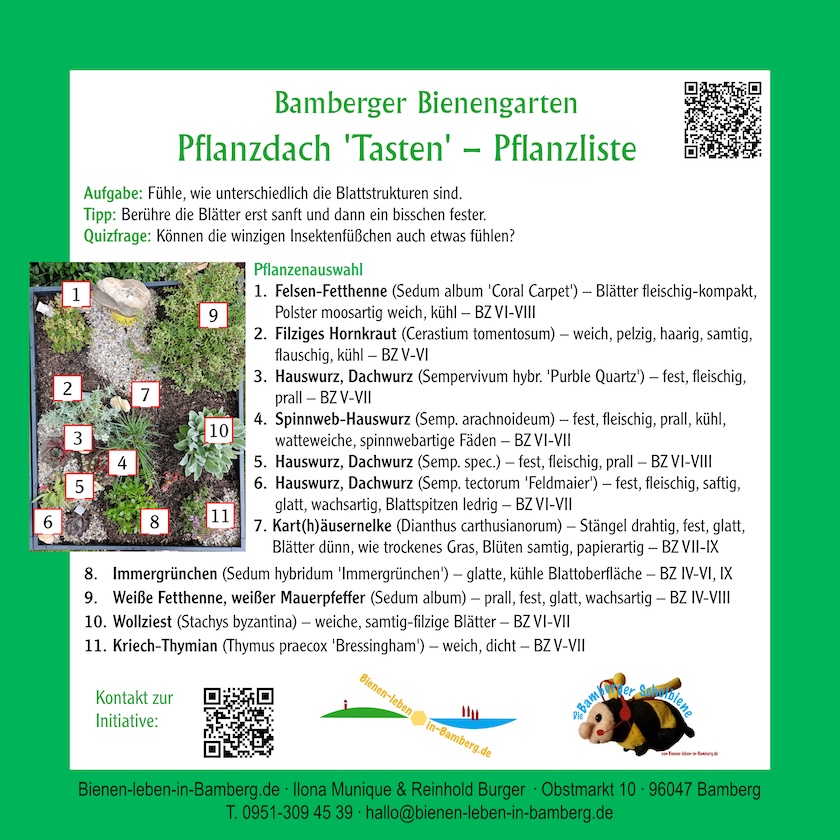 Infotafel zum Pflanzdach "Tasten" – Pflanzliste an den Gartenboxen der Bienen-InfoWabe