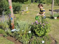 Bienengarten gießen mit Juline