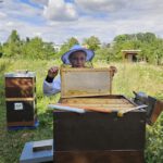 Öffentliche Honigernte zur BIWa-Sonntagsöffnung am Bienenweg in Bamberg / Iniative Bienen-leben-in-Bamberg.de