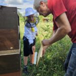 Öffentliche Honigernte zur BIWa-Sonntagsöffnung am Bienenweg in Bamberg / Iniative Bienen-leben-in-Bamberg.de