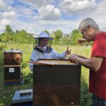 Öffentliche Honigernte zur BIWa-Sonntagsöffnung am Bienenweg in Bamberg / Iniative Bienen-leben-in-Bamberg.de