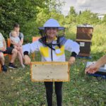 Öffentliche Honigernte zur BIWa-Sonntagsöffnung am Bienenweg in Bamberg / Iniative Bienen-leben-in-Bamberg.de