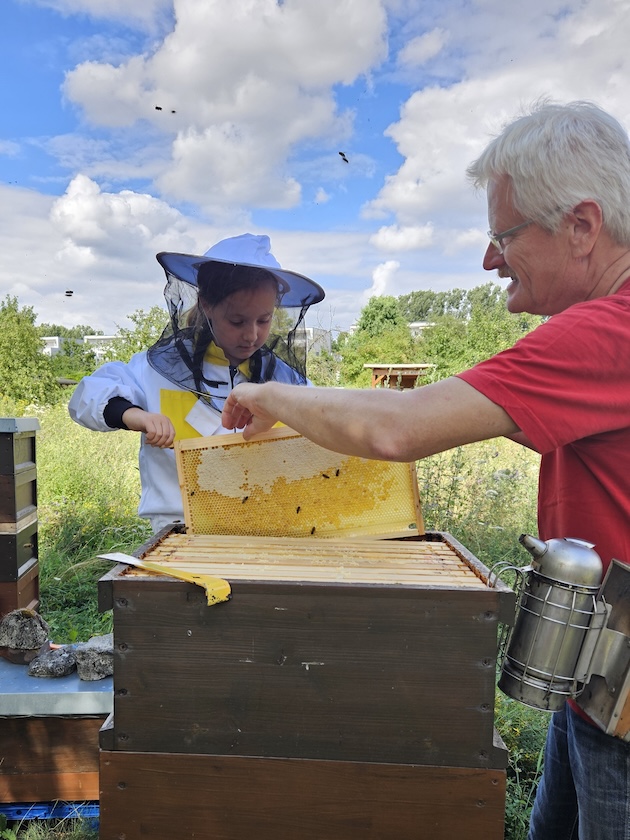 Öffentliche Honigernte zur BIWa-Sonntagsöffnung am Bienenweg in Bamberg / Iniative Bienen-leben-in-Bamberg.de