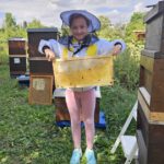 Öffentliche Honigernte zur BIWa-Sonntagsöffnung am Bienenweg in Bamberg / Iniative Bienen-leben-in-Bamberg.de