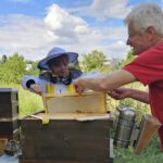 Öffentliche Honigernte zur BIWa-Sonntagsöffnung am Bienenweg in Bamberg / Iniative Bienen-leben-in-Bamberg.de