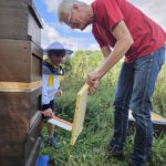 Öffentliche Honigernte zur BIWa-Sonntagsöffnung am Bienenweg in Bamberg / Iniative Bienen-leben-in-Bamberg.de