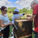 Öffentliche Honigernte zur BIWa-Sonntagsöffnung am Bienenweg in Bamberg / Iniative Bienen-leben-in-Bamberg.de