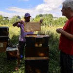 Öffentliche Honigernte zur BIWa-Sonntagsöffnung am Bienenweg in Bamberg / Iniative Bienen-leben-in-Bamberg.de