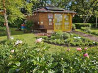 Bienen-InfoWabe mit Pfingstrosenbeet und Kräuterbeet im Bamberger Bienengarten