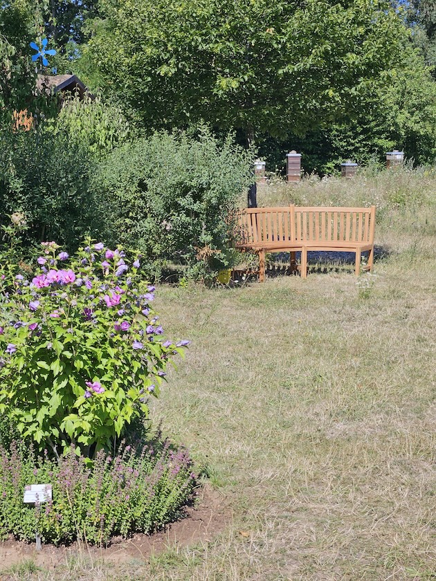 Neue Gartenbank im Bamberger Bienengarten