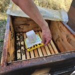 Imker-Anfängerkurs, Modul 11, Einfüttern / BLIB-Imkerkurs für Anfänger / Bienen-leben-in-Bamberg.de