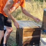 Imker-Anfängerkurs, Modul 11, Einfüttern / BLIB-Imkerkurs für Anfänger / Bienen-leben-in-Bamberg.de