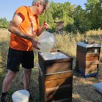 Imker-Anfängerkurs, Modul 11, Einfüttern / BLIB-Imkerkurs für Anfänger / Bienen-leben-in-Bamberg.de