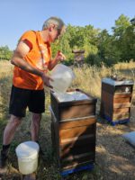 Imker-Anfängerkurs, Modul 11, Einfüttern / BLIB-Imkerkurs für Anfänger / Bienen-leben-in-Bamberg.de
