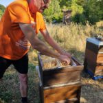 Imker-Anfängerkurs, Modul 11, Einfüttern / BLIB-Imkerkurs für Anfänger / Bienen-leben-in-Bamberg.de