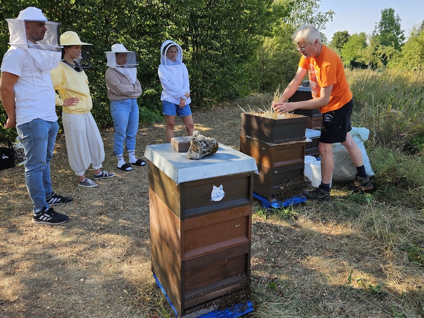 Imker-Anfängerkurs, Modul 11, Einfüttern / BLIB-Imkerkurs für Anfänger / Bienen-leben-in-Bamberg.de