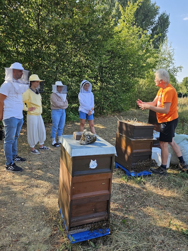 Imker-Anfängerkurs, Modul 11, Einfüttern / BLIB-Imkerkurs für Anfänger / Bienen-leben-in-Bamberg.de