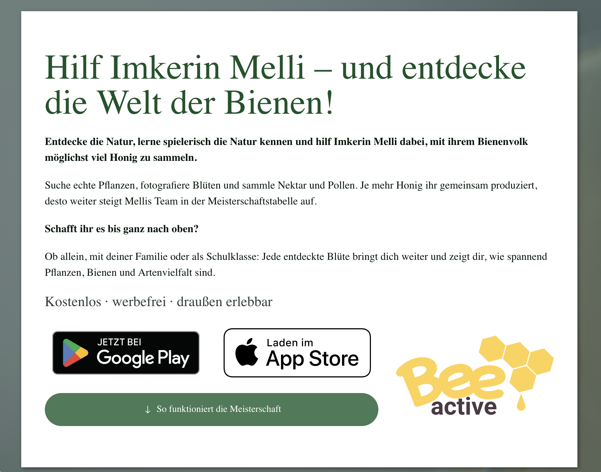 Screenshot BeeActive von Flohr