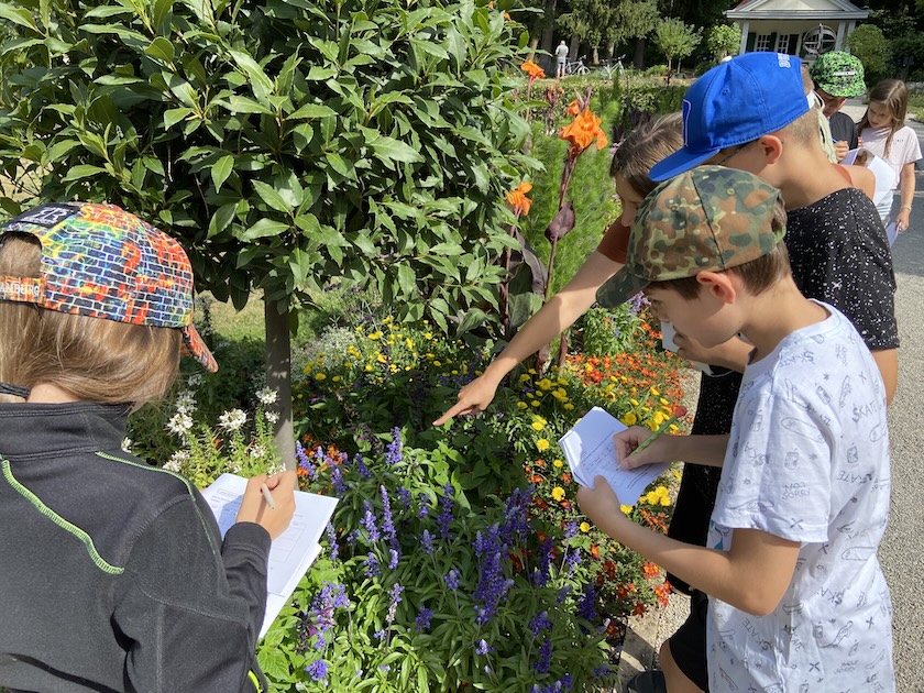 Mit René Paetow Wildbienen erkunden
